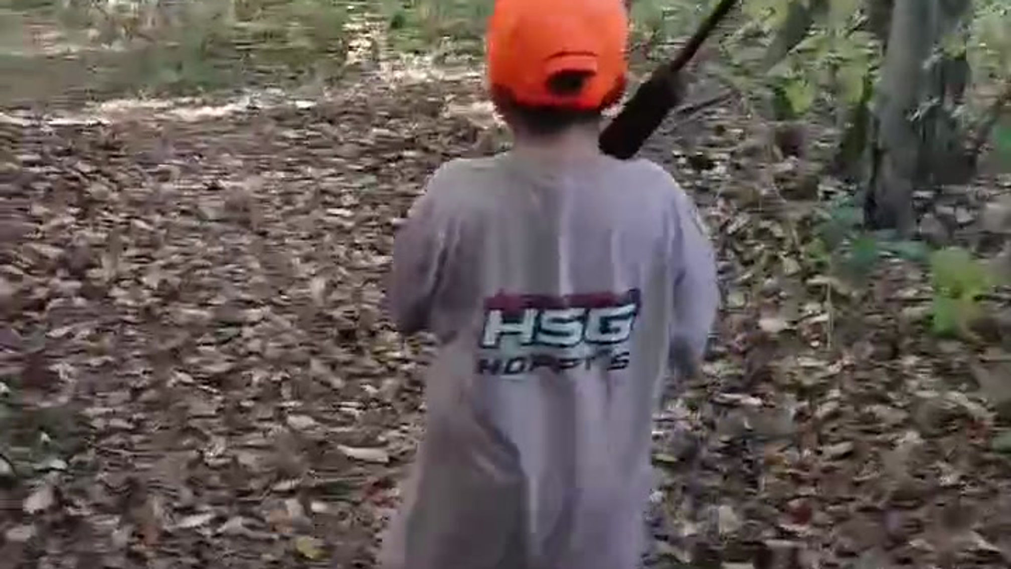 Squirrel Hunting